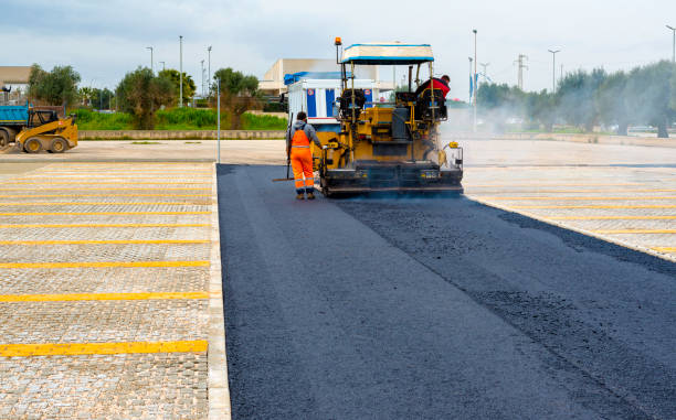 Best Driveway Repair Near Me  in Scotland Neck, NC