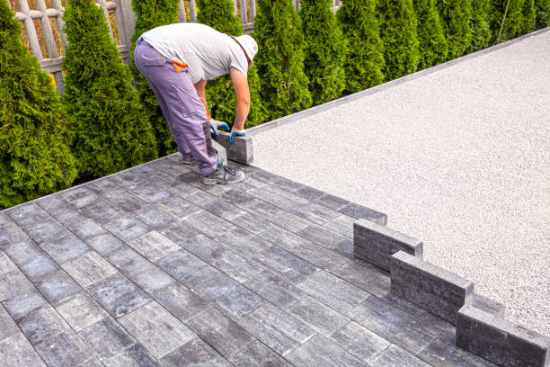 Best Driveway Paving Contractor  in Scotland Neck, NC