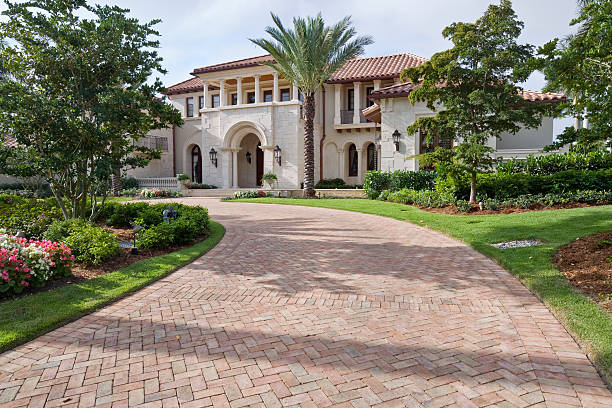 Best Driveway Paving Near Me  in Scotland Neck, NC
